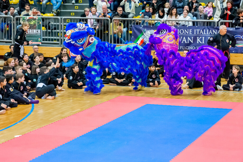 Celebra il Qwan Ki Do con la nostra Festa di Natale: un evento magico per grandi e piccini. Scopri i valori di impegno, gioco di squadra e comunità!